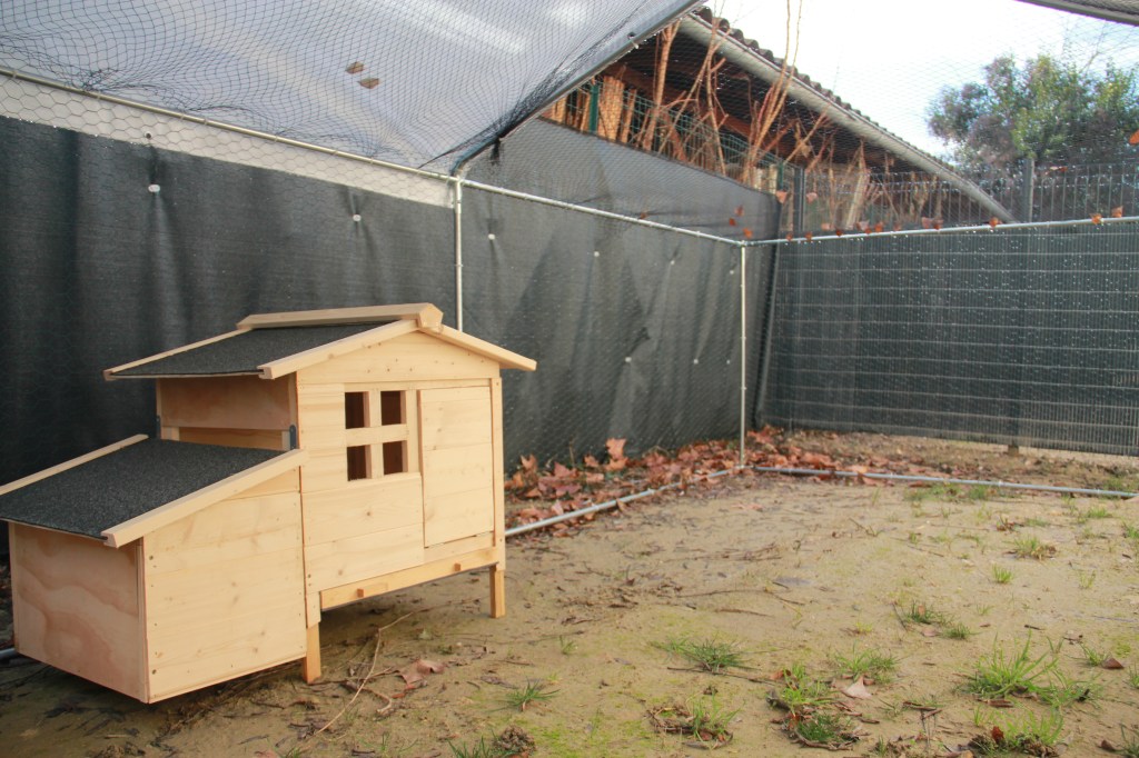 Un poulailler à la&nbsp;crèche